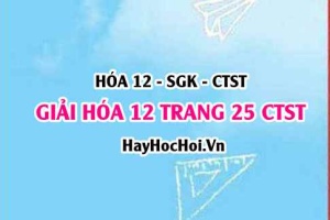 Giải Hóa 12 trang 25 Chân trời sáng tạo SGK